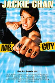 Mr. Nice Guy (1997) ใหญ่ทับใหญ่