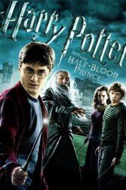 Harry Potter 6 (2009) แฮร์รี่ พอตเตอร์ กับเจ้าชายเลือดผสม ภาค 6