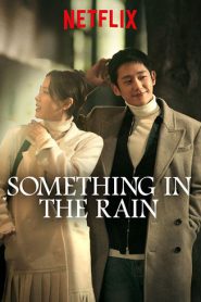 Something in the Rain (2018) สื่อในสายฝน