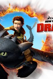 How to Train Your Dragon 1 (2010) อภินิหารไวกิ้งพิชิตมังกร 1
