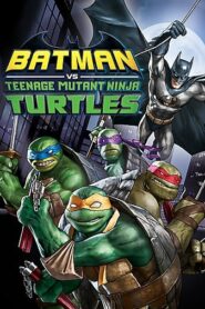 Batman vs Teenage Mutant Ninja Turtles (2019)