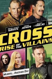 Cross Rise Of The Villains (2019)