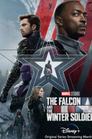 The Falcon and the Winter Soldier (2021) เดอะฟอลคอนและเดอะวินเทอร์โซลเจอร์