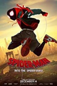 Spider-Man Into the Spider-Verse สไปเดอร์-แมน ผงาดสู่จักรวาล-แมงมุม