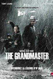 The Grandmaster ยอดปรมาจารย์ ยิปมัน (2013)