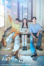 ซีรี่ย์เกาหลี Spring Of Youth (2025) เพลงรักวัยละมุน ซับไทย