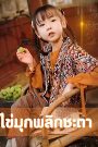 ไข่มุกพลิกชะตา เสียงไทย จบเรื่อง
