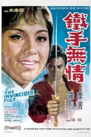 The Invincible Fist (1969) อัศวินจอมยุทธจักร