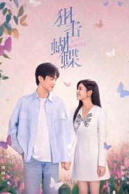 ซีรี่ย์จีน Sniper Butterfly (2025) ผสานใจเพื่อรัก ซับไทย